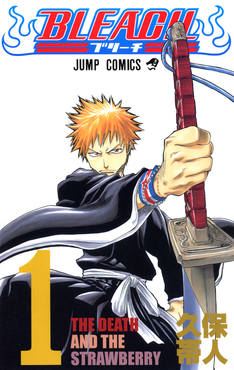 Bleach Cover Image